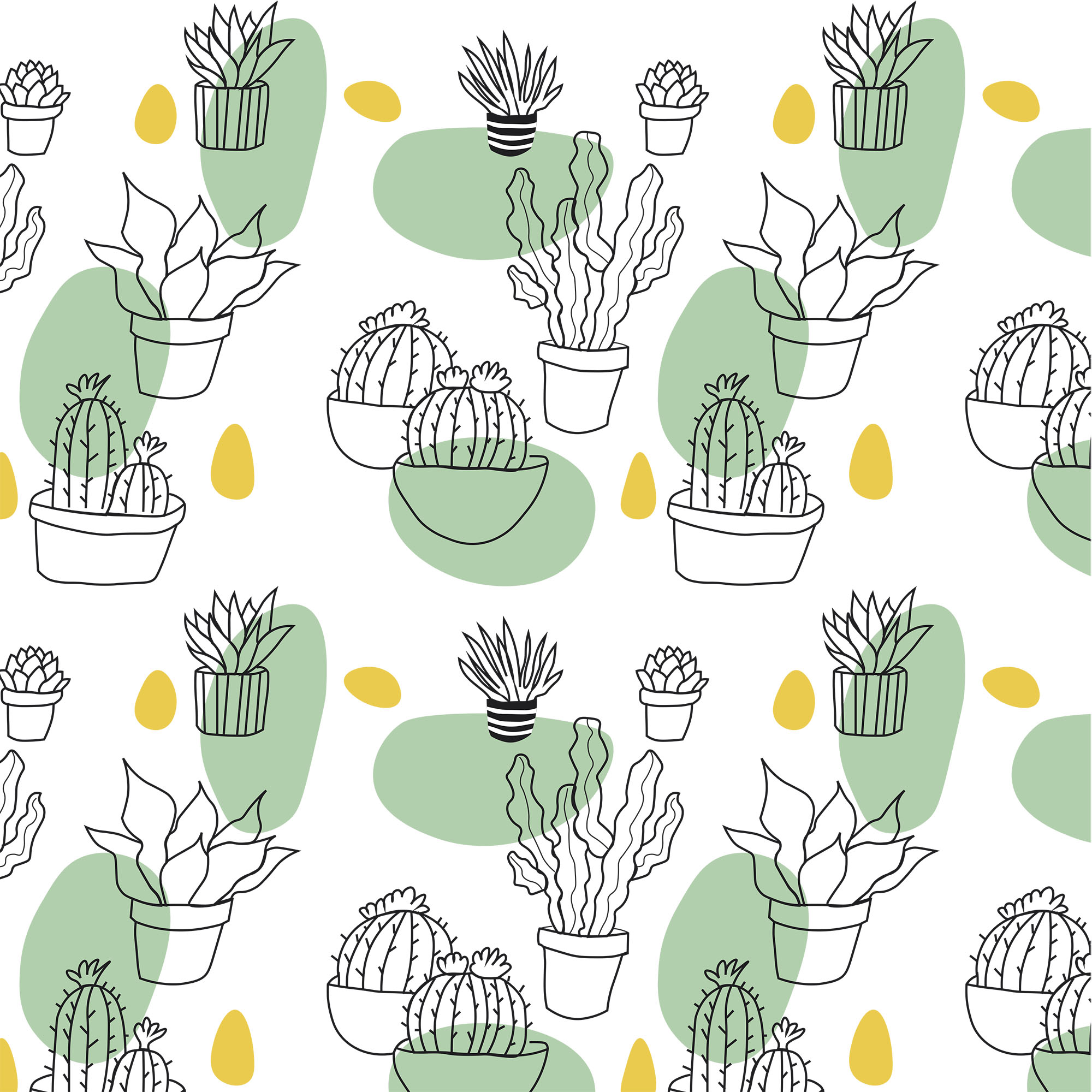 cactus mihermanaesunosopanda