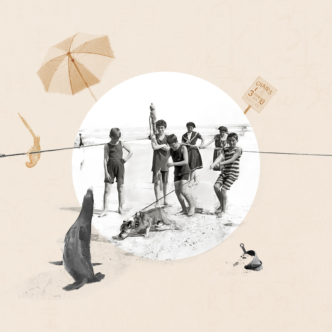 collage mihermanaesunosopanda